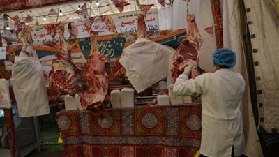 وزيرا التنمية المحلية والتعليم يتفقدان 