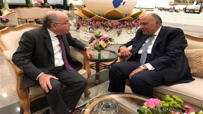 وزير الخارجية ونظيره البرازيلي يؤكدان أهمية تنشيط اتفاقية التجارة الحرة بين مصر والميركسور