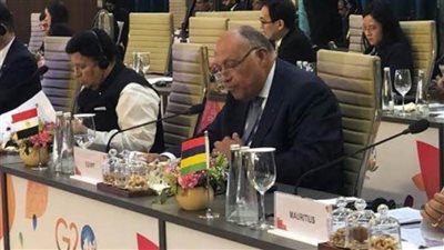 شكري يؤكد أهمية بلورة اتفاقية دولية ملزمة تمنع استخدام التكنولوجيا بغرض ارتكاب الجرائم