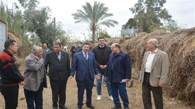 التعليم العالي: قوافل تنموية لجامعات شرق الدلتا بالتعاون مع 