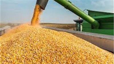 انخفاض ثالث أكبر منتج عالمي للذرة لتوقعات الإنتاج بسبب الجفاف التاريخي 