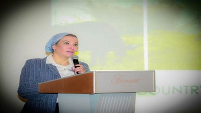 وزيرة البيئة تفتتح ورشة العمل التشاورية عن النسخة الثانية لتقرير التحليل البيئي القطري لمصر (صور)