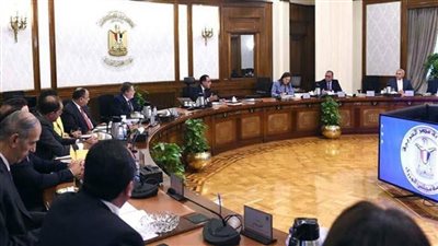 مدبولي يبحث سبل زيادة حصيلة النقد الأجنبي وتسريع وتيرة برنامج الروحات.. تفاصيل