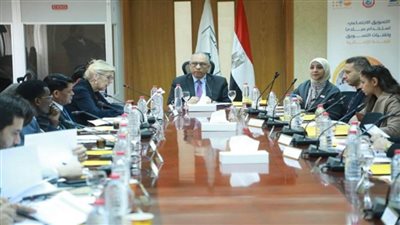 الصحة تبحث مع صندوق الأمم المتحدة للسكان التعاون في توسيع حملات الوعي المجتمعي ببرامج الصحة الإنجابية (صور)