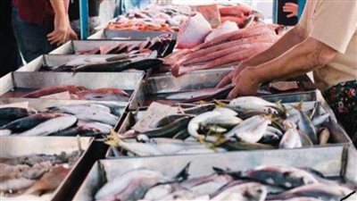 أسعار الأسماك خامس أيام رمضان