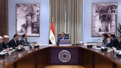 رئيس الوزراء يناقش مقترحات التوسع في إقامة المشروعات التي تعمل بنظام المناطق الحرة الخاصة