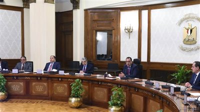 رئيس الوزراء يستكمل متابعة خطوات فض التشابكات المالية الحكومية بين  