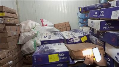 التحفظ على 7 أطنان أسماك ودقيق مجهول المصدر في الدقهلية 