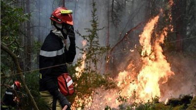 حريق هائل يدمر ما لا يقل عن 550 هكتارًا من النباتات جنوب غرب فرنسا 