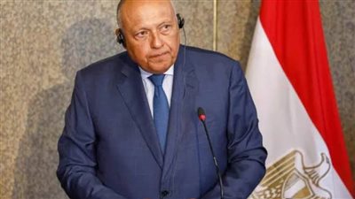 هل تتدخل مصر عسكريا في السودان؟.. وزير الخارجية يوضح