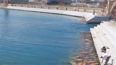 وزير الري يتابع أعمال حماية الشواطئ في الإسكندرية (صور)