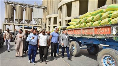 محافظ أسيوط: 28 موقعا لتخزين القمح وارتفاع التوريد لـ2131 طنا 