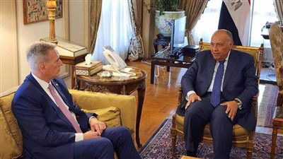 وزير الخارجية يستقبل وفدا من الكونجرس الأمريكي برئاسة رئيس مجلس النواب الأمريكي