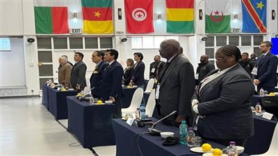 وزير الرياضة يشهد اجتماعات الاتحاد الرياضي الإفريقي للجامعات بجامعة جوهانسبرج (صور)