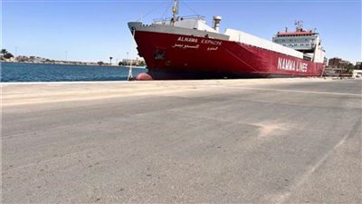 وصول 393 سيارة بوزن 790 طن لميناء بورتوفيق 