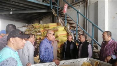 ضبط نصف طن من القمح المحلي داخل مصنع للأعلاف ببرما 