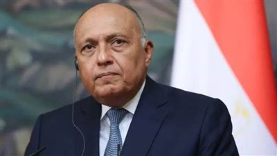 وزير الخارجية: مصر لن تتوجه إلى مجلس الأمن مرة أخرى بشأن سد النهضة