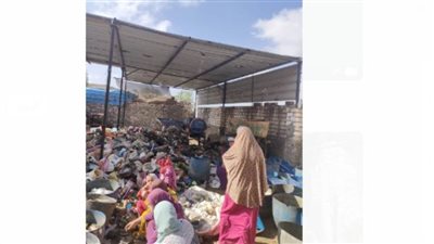 برخصة حكومية.. 300 أسرة معرضة للموت خنقًا في الغربية (صور)