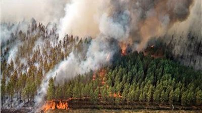 لهذا السبب..إغلاق 12 حديقة عامة في غرب كندا