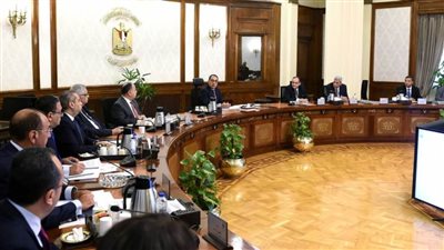 رئيس الوزراء يناقش إجراءات دعم وتحفيز صناعة الدواء