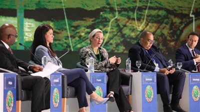 ياسمين فؤاد : الطاقة والغذاء والمياه نموذج هام للربط بين  التخفيف والتكيف