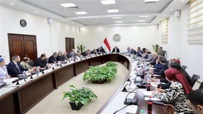 وزير التعليم العالي يرأس اجتماع مجلس شئون المعاهد العالية الخاصة (صور)