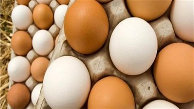 استقرار سعر طبق البيض الإثنين 29 مايو 