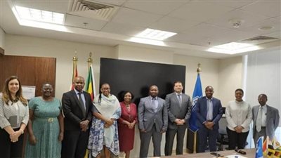 وزير المالية: تكليف رئاسي بنقل الخبرات والتجارب المصرية في إصلاح وميكنة القطاعات المختلفة إلى الأشقاء الأفارقة (صور)