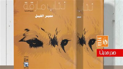 قصور الثقافة تصدر المجموعة القصصية 