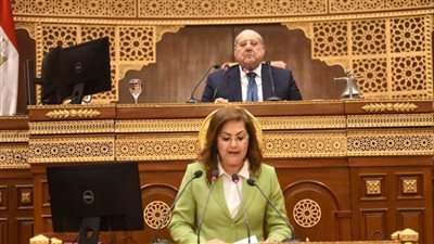 100 مليار جنيه استثمارات بقطاع الصناعة التحويليّة، ووزيرة التخطيط تستعرض خطـة التنميـة الاقتصادية أمام الشيوخ 