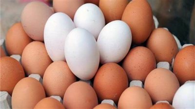 استقرار سعر طبق البيض اليوم الإثنين 5 يونيو  