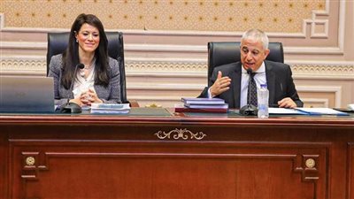 المشاط: إعادة هيكلة إدارة متابعة التمويلات الإنمائية ساهم في الحد من التحديات التي تواجه تنفيذ المشروعات