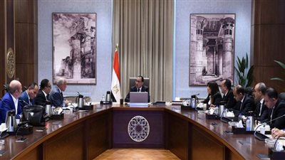 رئيس الوزراء يتابع جهود تطوير المنطقة المحيطة بالمتحف المصري الكبير (صور)