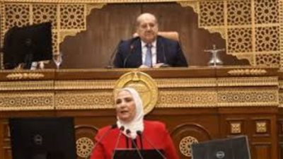 القباج تناقش دور التعاونيات ورؤية التضامن لتطويرها في مجلس الشيوخ