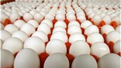 تعرف على سعر طبق البيض بالأسواق الجمعة 9 يونيو 