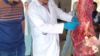 تحرير 18 محضرا خلال حملات التفتيش على المحال والأسواق بالغربية