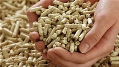 الزراعة: انخفاض كبير في أسعار الأعلاف 