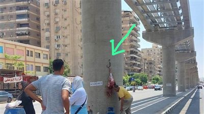 أول رد رسمي من الهيئة القومية للأنفاق بعد قيام جزار بتعليق ذبيحة بعمود المونوريل