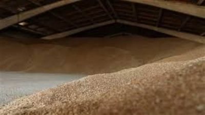 روسيا: مستعدون لتلبية احتياجات الشركاء العرب من الحبوب