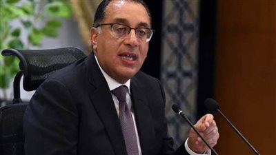 شعبة التصدير بالجيزة: قرارات رئيس الوزراء مبشرة لعودة الصادرات المصرية للمنافسة عالميا