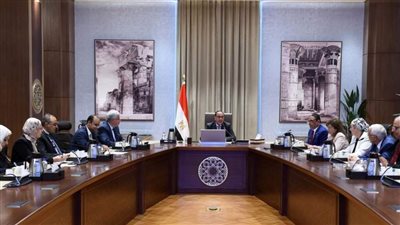 رئيس الوزراء يستعرض الرؤية المقترحة لتطوير منطقة جنوب القاهرة التاريخية