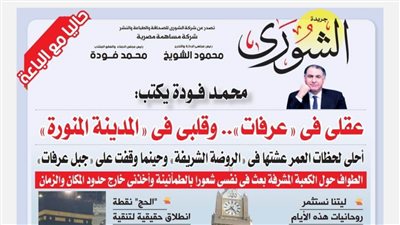 محمد فودة يكتب: عقلى فى 