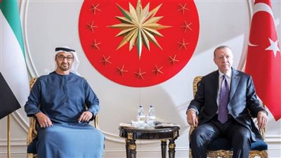 لتعزيز التعاون الثنائي .. رئيس الإمارات يناقش أهم القضايا مع أردوغان