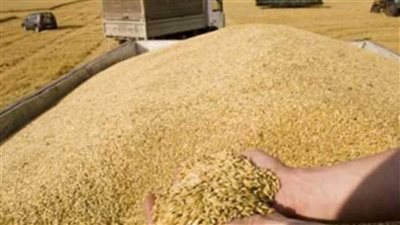 روسيا تعلن البحر الأسود منطقة خطرة ووقف تصدير الحبوب بدءًا من الغد