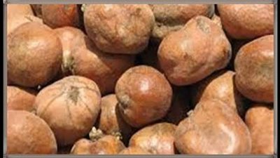 فوائد الدوم، لمرضى السكري وضغط الدم