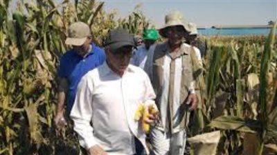 رئيس البحوث الزراعية يزور بني سويف لتفقد برامج الأصناف الجديدة للمحاصيل الصيفية