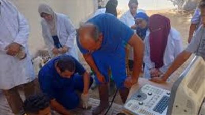 بإجمالي 3800 رأس ماشية.. التناسليات الحيوانية يطلق قافلة بيطرية مجانية بالقليوبية