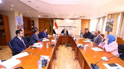 التضامن تبحث سبل السيطرة على ظاهرة 