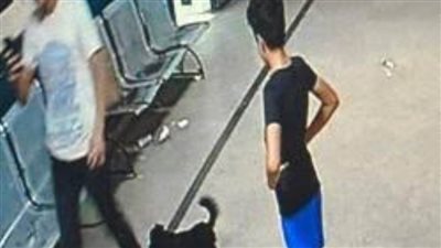 قرار عاجل للنيابة ضد صاحب واقعة اعتداء كلب على أطباء مستشفى المحلة