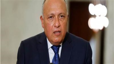 شكري: تعقيدات الأزمة السورية تجعل من الصعوبة تحديد موعد إنهائها